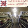 阶梯式喂料机 养殖设备 喂料机 养鸡喂料机 行车式喂料机