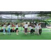 深圳龙岗农家乐拓展野炊烧烤九龙生态园