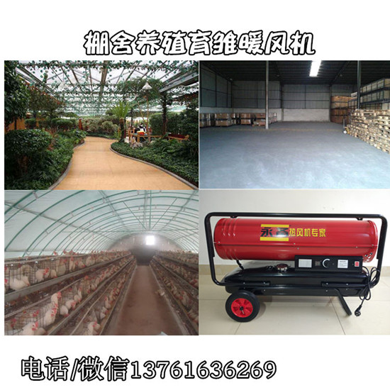 棚舍养殖育雏暖风机