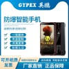 化工厂 智能防爆手机 W1