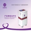 低频产后治疗仪 理疗体表电极