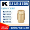 H12X-16T立式止回阀 黄铜立式止回阀