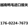 越南鸭毛报关代理