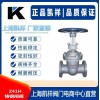 Z41H铸钢闸阀