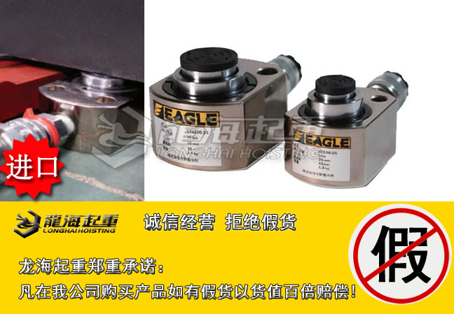 3CTS鹰牌低矮型两段式液压缸大图
