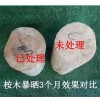 木地板防裂处理剂