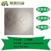 γ-环糊精17465-86-0原料供应 现货