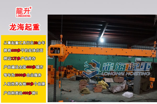 1龙升双钩环链电动葫芦大图