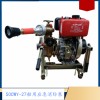 供应50CWY-27船用应急消防泵 柴油机