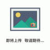 卫生级剪切泵