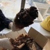 选矿药剂氧化石蜡皂（731）生产 武汉厂家